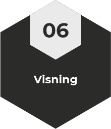Visning